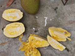 Ảnh bìa bài viết 777904