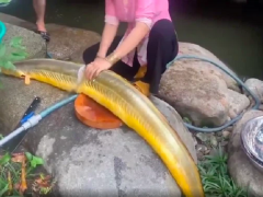 Ảnh bìa bài viết 777887