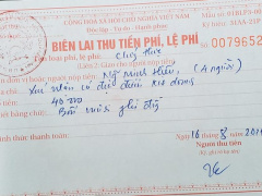 Ảnh bìa bài viết 778336