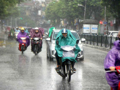 Ảnh bìa bài viết 778467