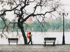 Ảnh bìa bài viết 778327