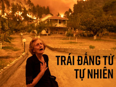Ảnh bìa bài viết 778455