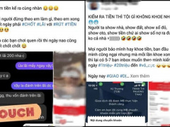 Ảnh bìa bài viết 778629
