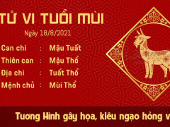 Ảnh bìa bài viết 778503