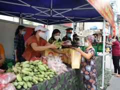 Ảnh bìa bài viết 779211