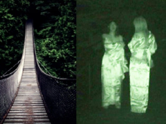 Ảnh bìa bài viết 779577