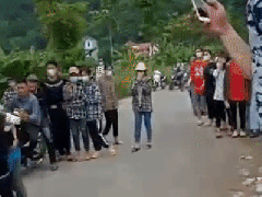 Ảnh bìa bài viết 779940