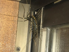 Ảnh bìa bài viết 779821