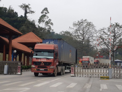 Ảnh bìa bài viết 779904
