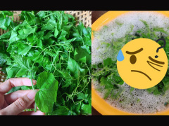 Ảnh bìa bài viết 780128