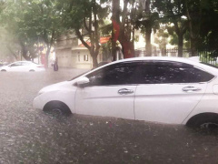 Ảnh bìa bài viết 780506