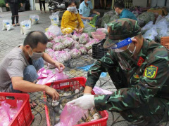 Ảnh bìa bài viết 780672
