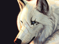 Ảnh bìa bài viết 780968