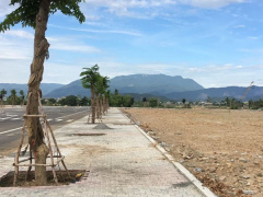 Ảnh bìa bài viết 781041
