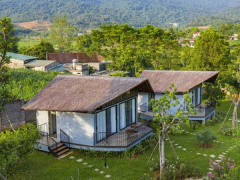 Ảnh bìa bài viết 781323