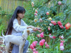 Ảnh bìa bài viết 781533