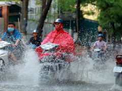 Ảnh bìa bài viết 781405
