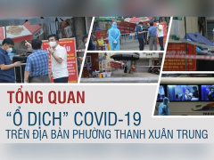 Ảnh bìa bài viết 781431