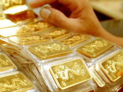 Ảnh bìa bài viết 781664