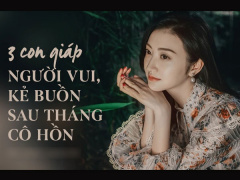 Ảnh bìa bài viết 781731