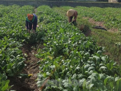 Ảnh bìa bài viết 781946