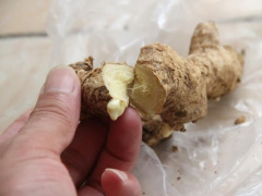 Ảnh bìa bài viết 782255