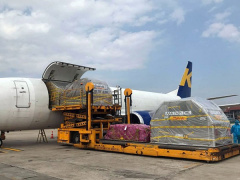 Ảnh bìa bài viết 782116