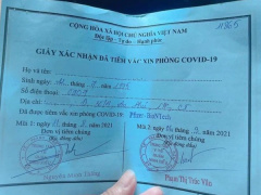 Ảnh bìa bài viết 783303
