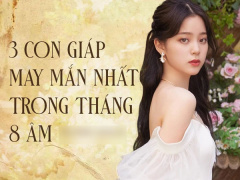 Ảnh bìa bài viết 783203