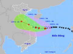 Ảnh bìa bài viết 783818