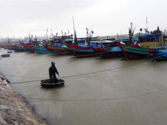Ảnh bìa bài viết 783610