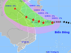 Ảnh bìa bài viết 783651