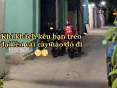 Ảnh bìa bài viết 783633