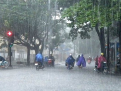 Ảnh bìa bài viết 783831