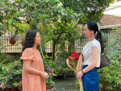 Ảnh bìa bài viết 784036