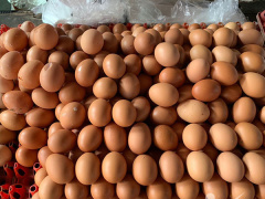 Ảnh bìa bài viết 784137