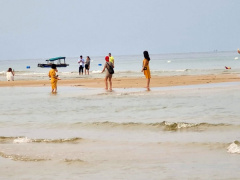 Ảnh bìa bài viết 784351