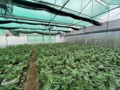 Ảnh bìa bài viết 784588