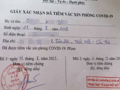 Ảnh bìa bài viết 784695