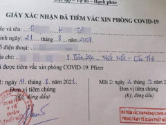Ảnh bìa bài viết 784809
