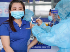 Ảnh bìa bài viết 785094