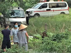 Ảnh bìa bài viết 785243