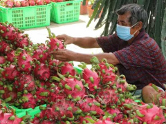 Ảnh bìa bài viết 785255