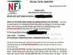 Ảnh bìa bài viết 785624