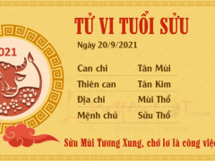 Ảnh bìa bài viết 785659