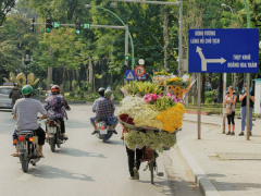 Ảnh bìa bài viết 785889