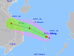 Ảnh bìa bài viết 786315