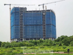 Ảnh bìa bài viết 786319