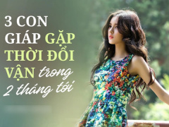 Ảnh bìa bài viết 786249