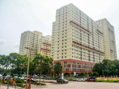 Ảnh bìa bài viết 786411